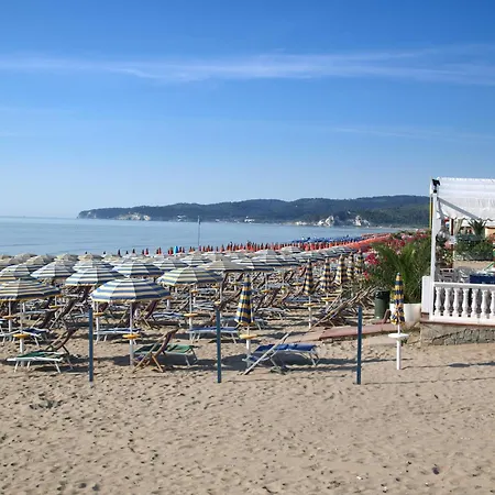 Falcone