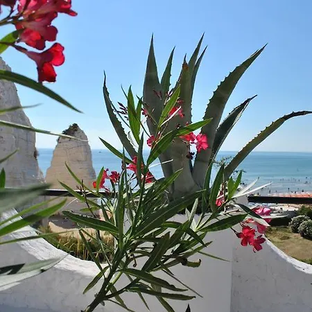 فندق Falcone فيستَ