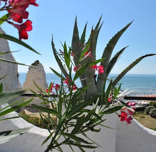 Hotel Falcone Vieste