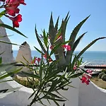 Hotel Falcone Vieste