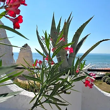 Falcone Vieste