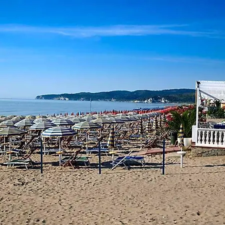 Falcone Vieste