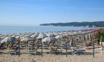 Falcone